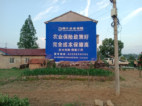 维西墙体广告的优劣势你知道吗？