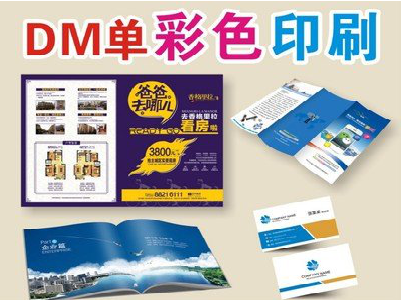 维西单页印刷，色彩搭配简单。